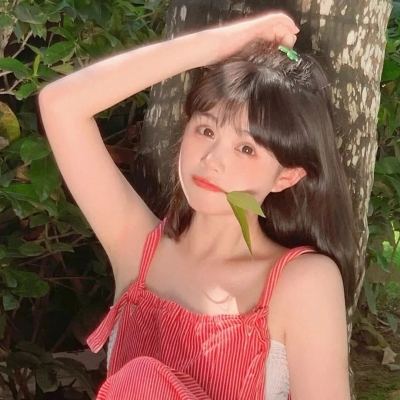 龙之怒吼oppo版下载